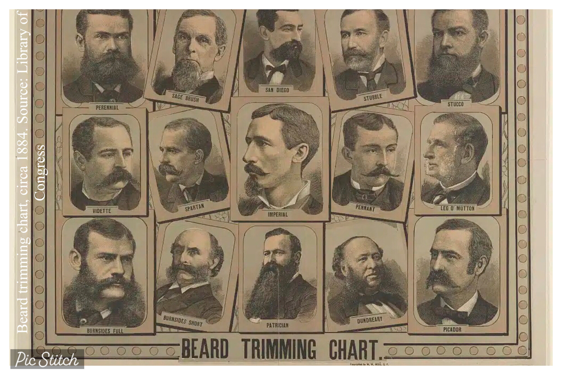 Beard Chart