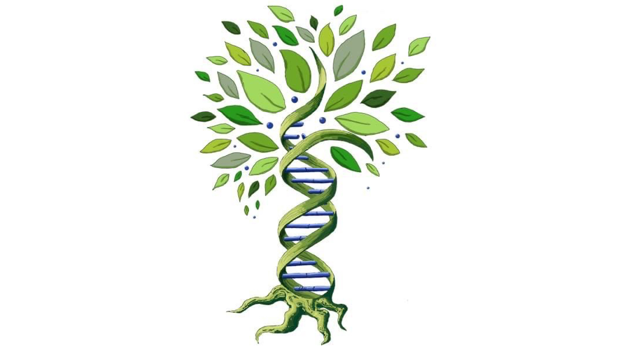 DNA and Genealogy