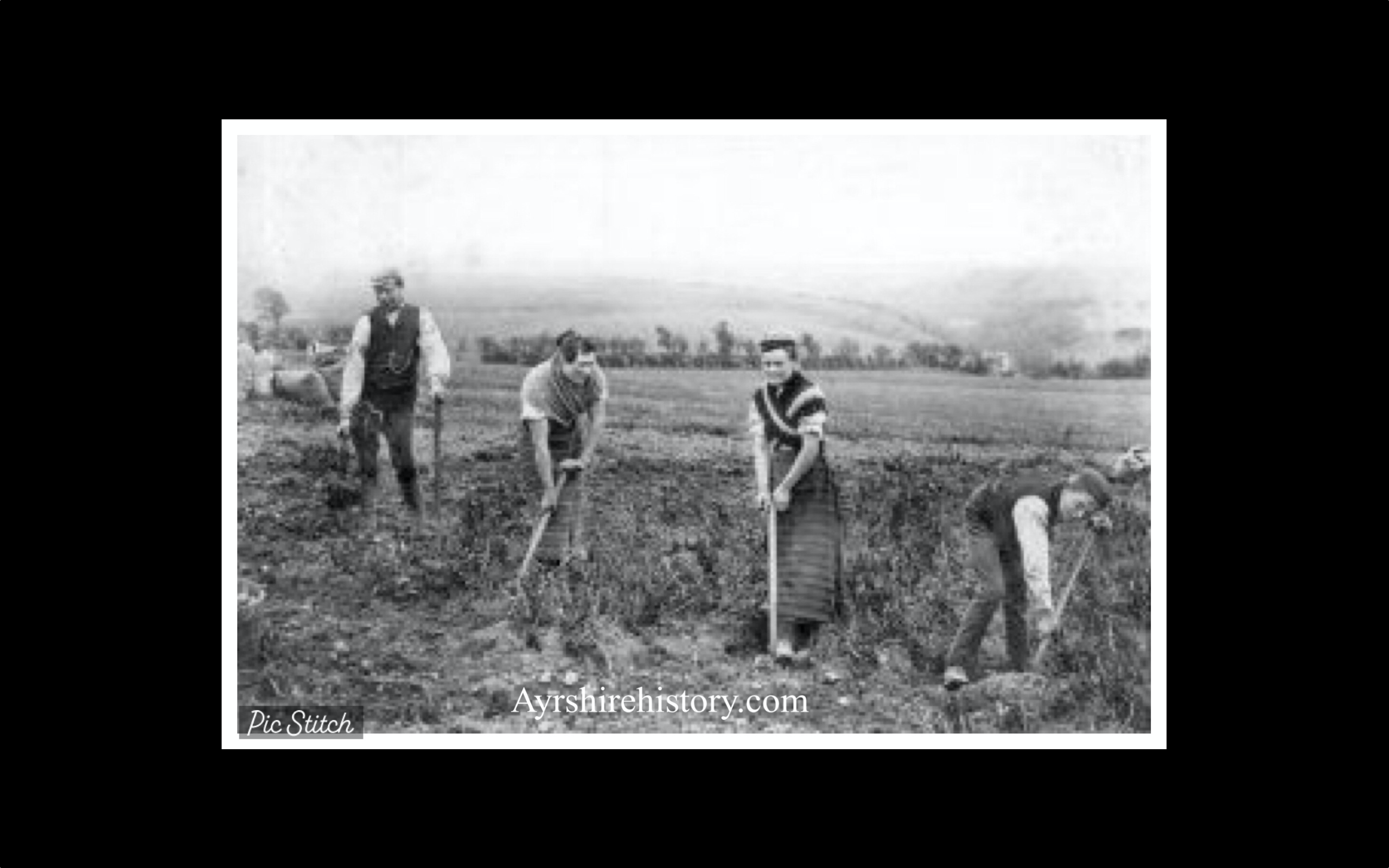 Irish Family Farming