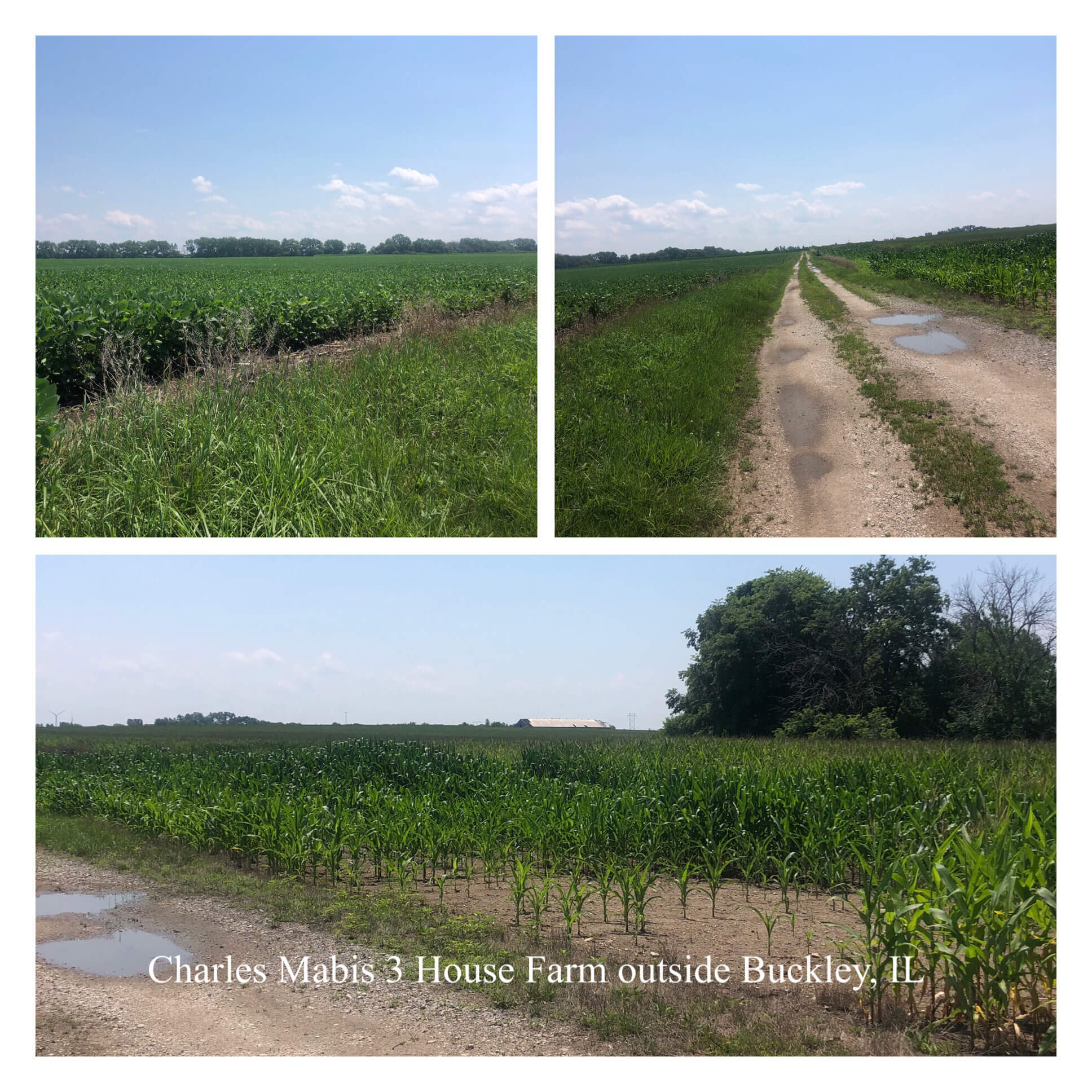 Charles Mabis 2 House Farm