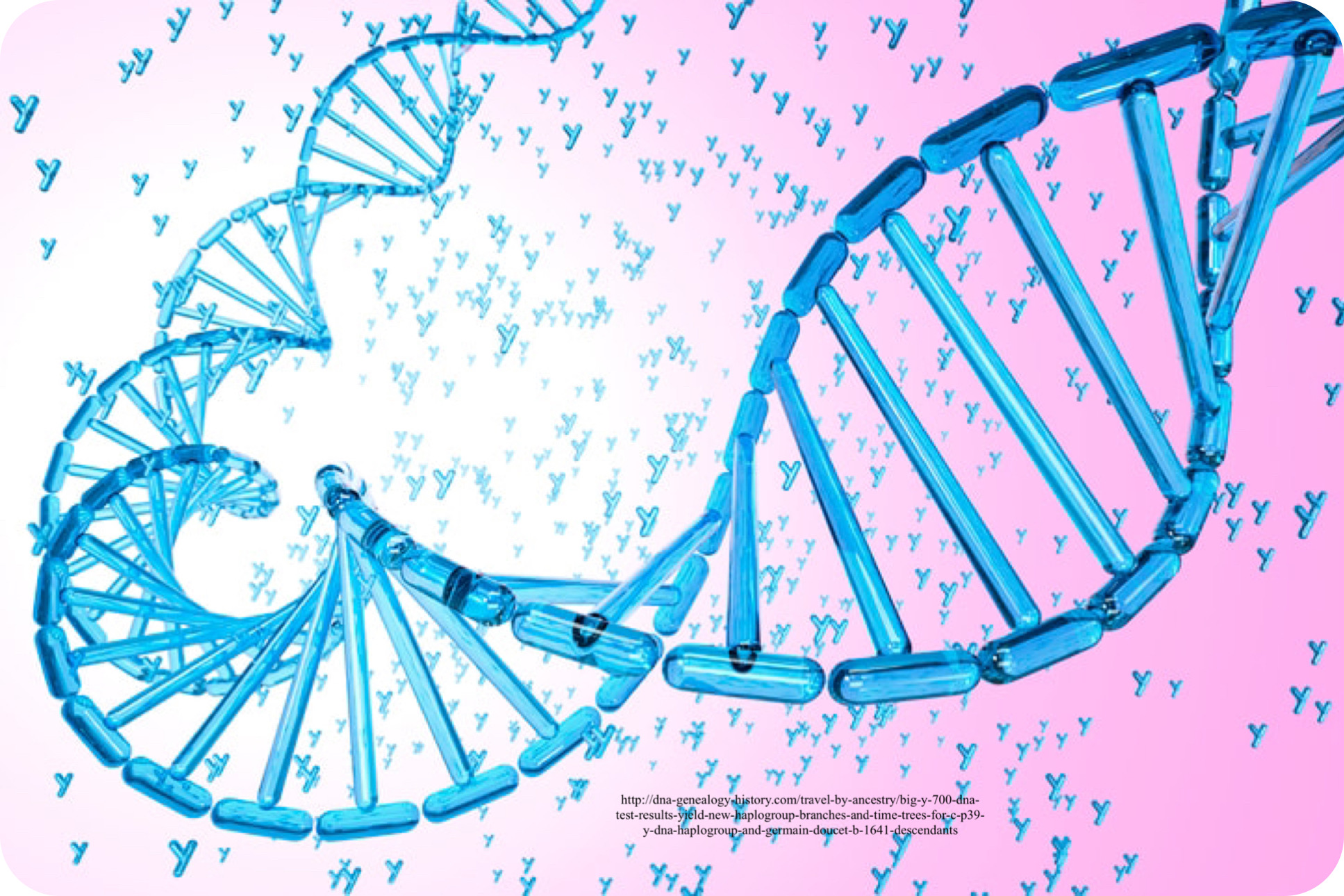 By-Y 700 DNA Double Helix